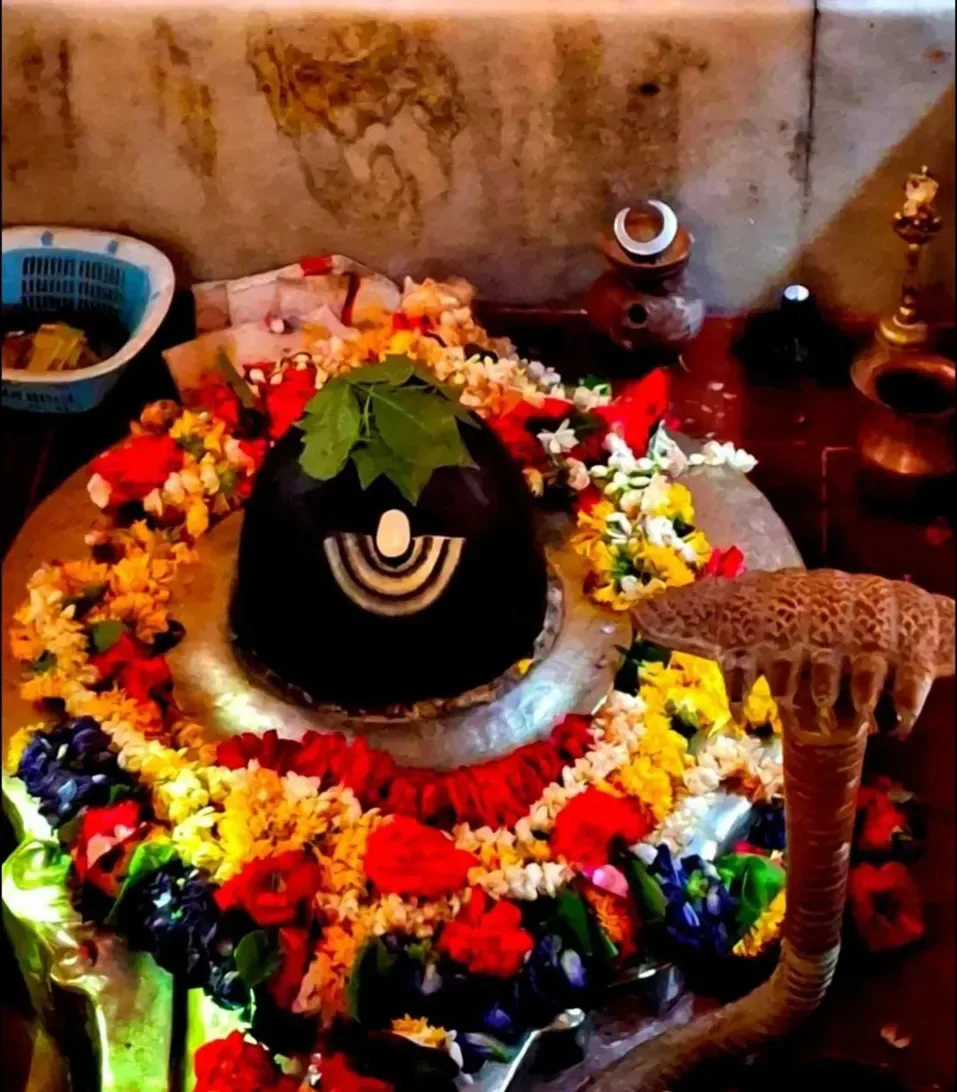 Shri Navgraheshwar Mahadev